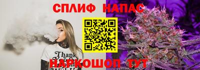 трава Кохма