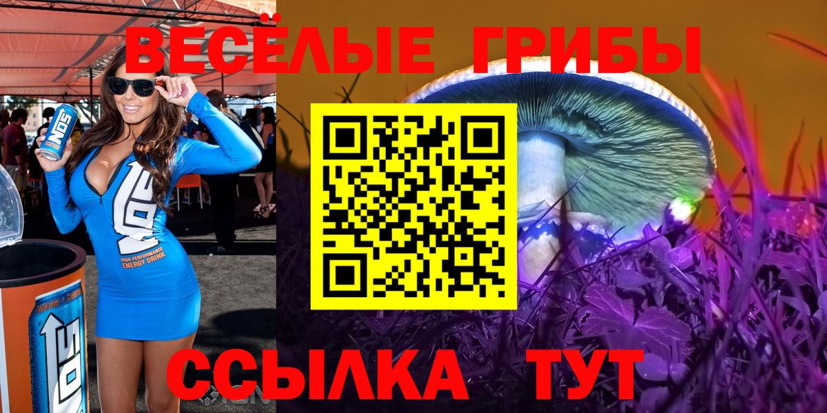ГАШ  MDMA  АМФЕТАМИН   Вход с VPN  Котовск  Экстази  Конопля  Меф МЯУ МЯУ  