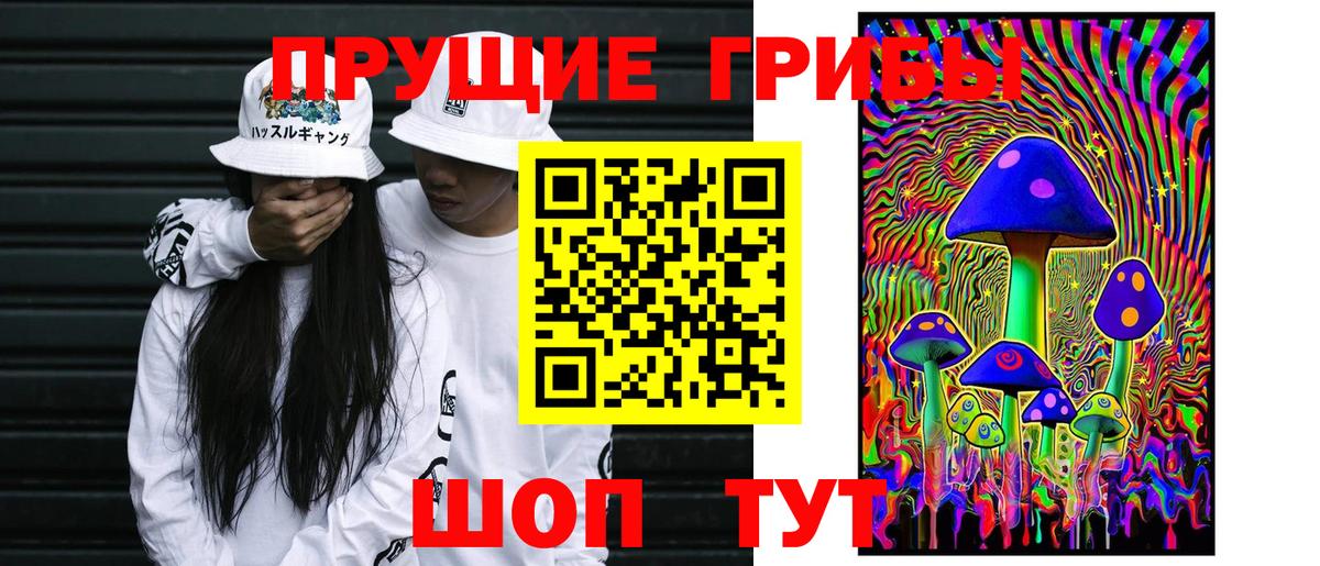 Галлюциногенные грибы GOLDEN TEACHER Котовск