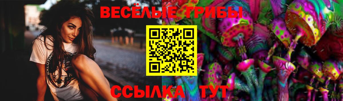 хочу наркоту  Галлюциногенные грибы MAGIC MUSHROOMS  Вход с VPN  Псилоцибиновые грибы мухоморы  Котовск 